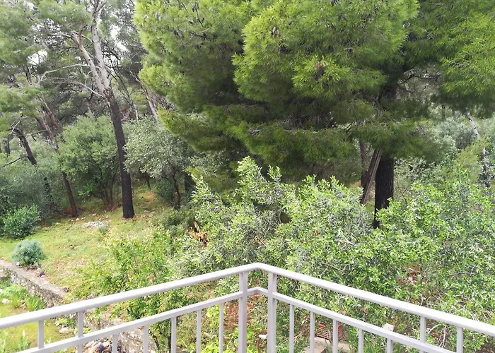 Appartement Aniva - 50 M From The Sea *