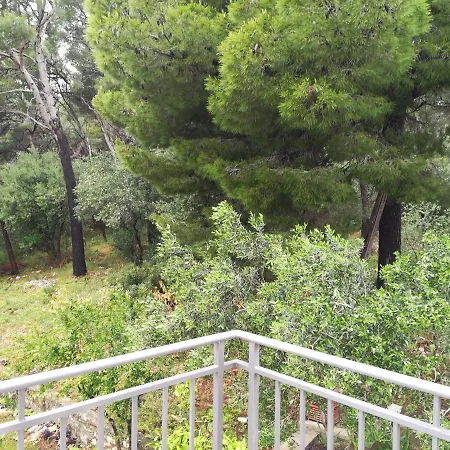 Apartment Aniva - 50 M From The Sea *